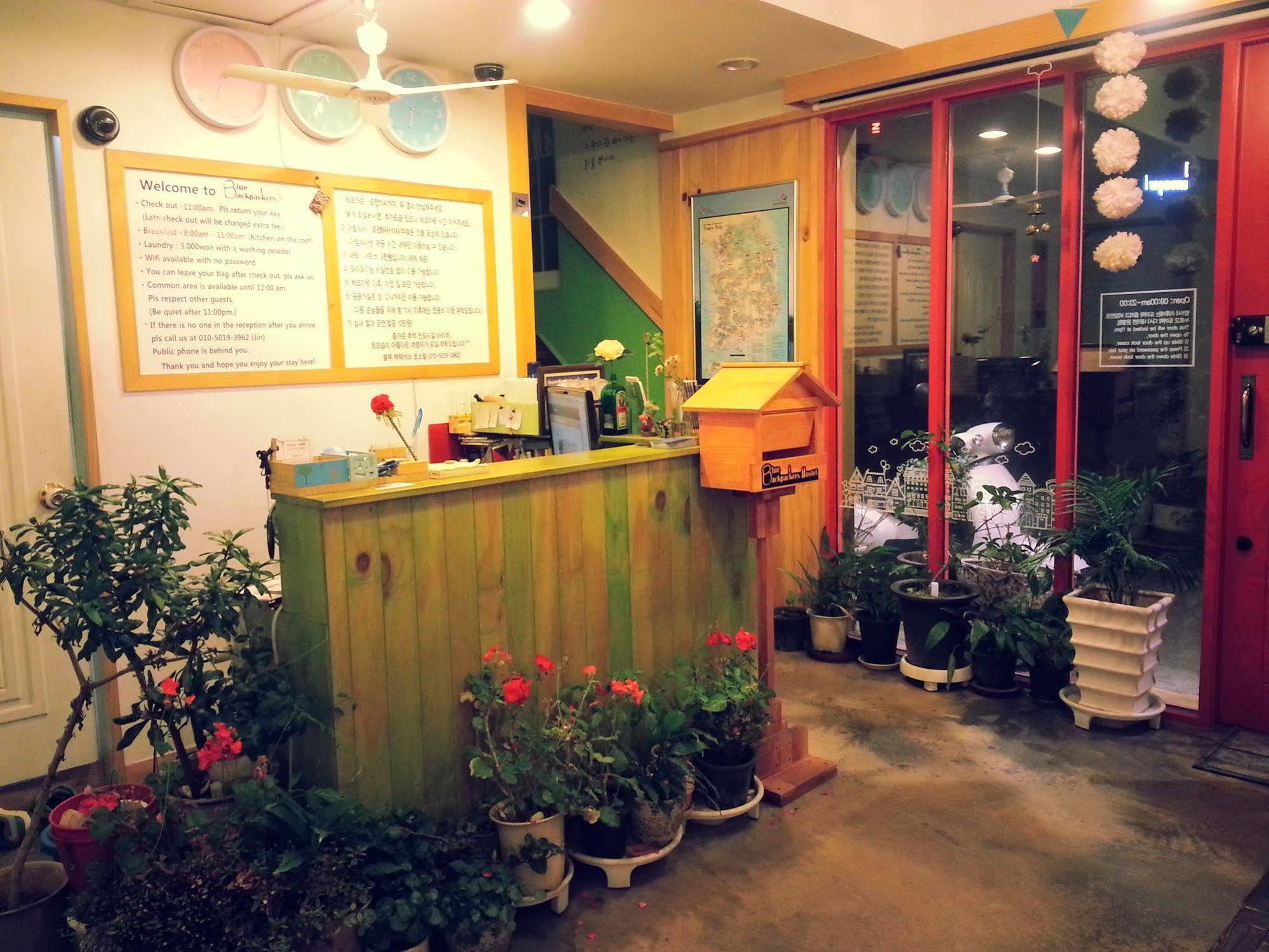 Blue Backpackers Hostel Busan Exterior photo