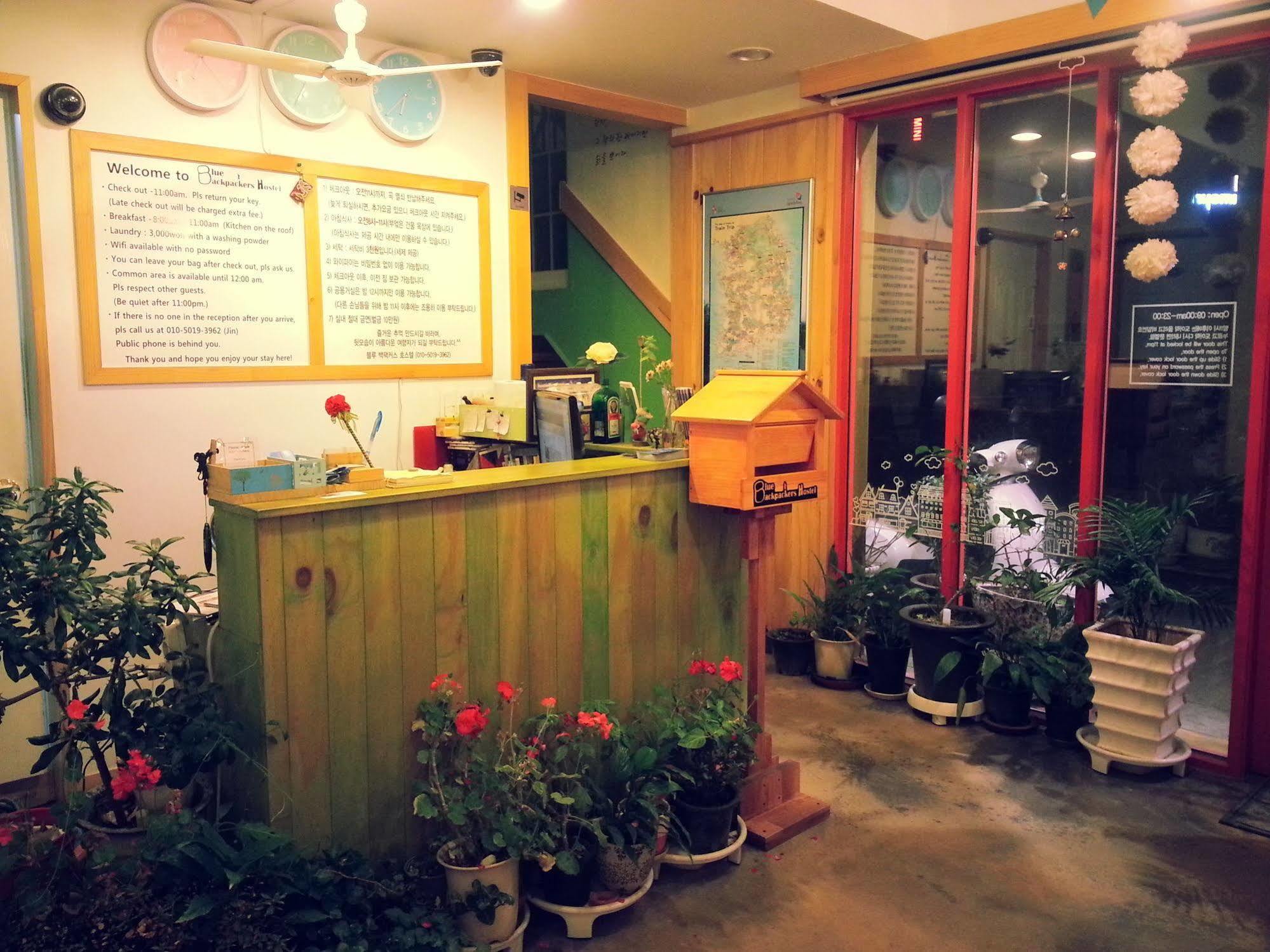 Blue Backpackers Hostel Busan Exterior photo